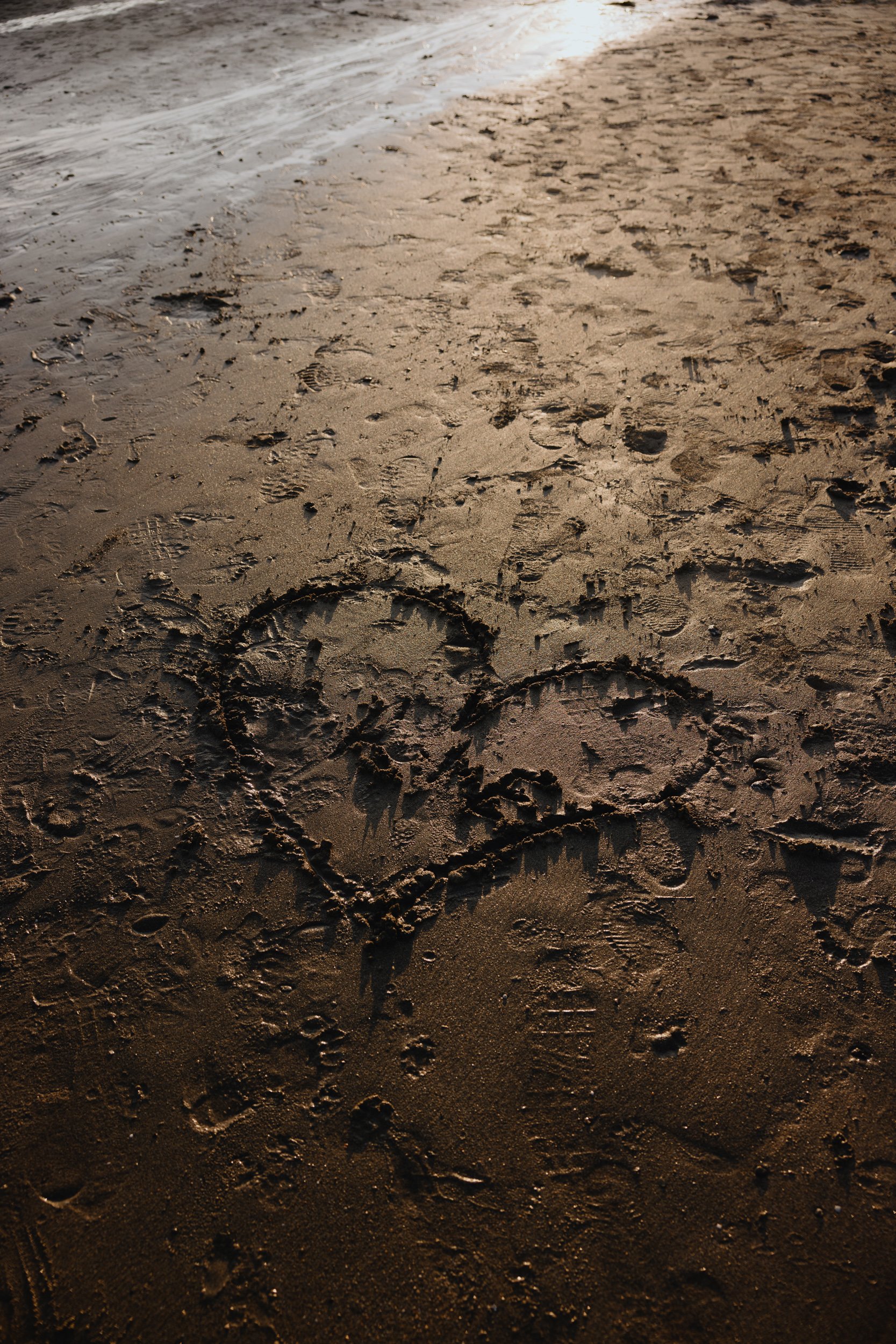 octopus-40.jpg