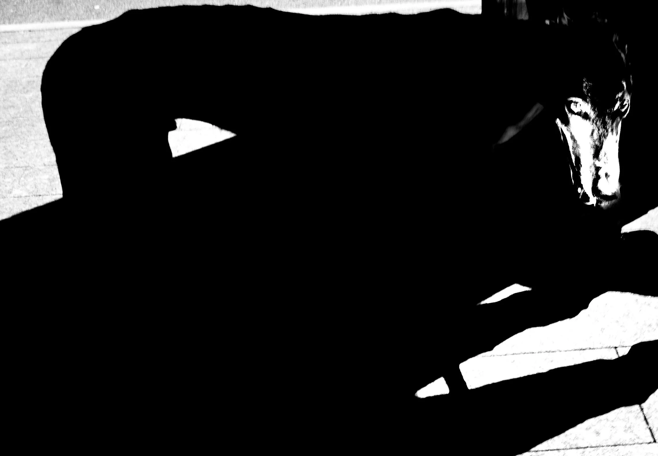 NY 2017-2018_页面_03.jpg