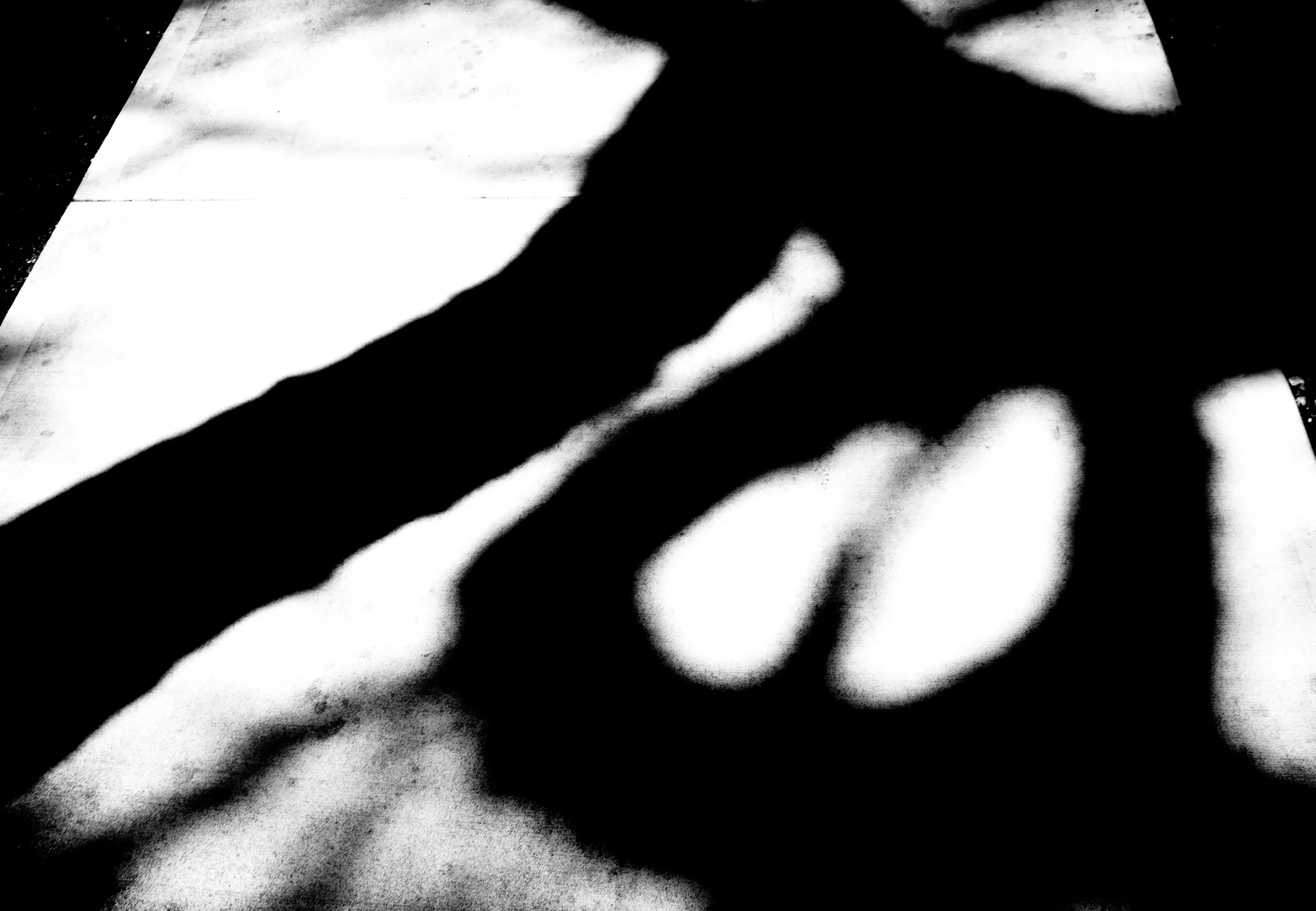 NY 2017-2018_页面_09.jpg