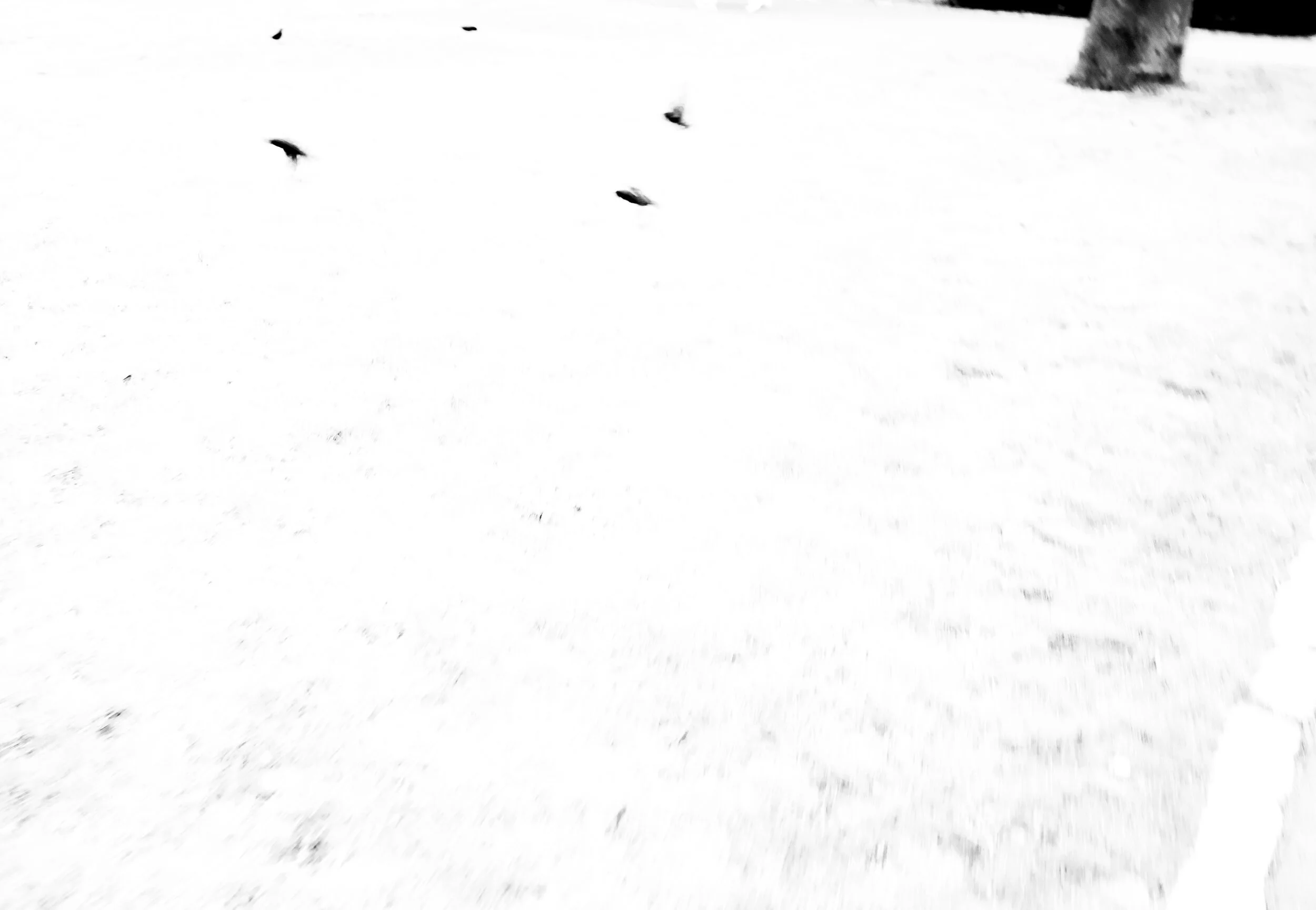 NY 2017-2018_页面_22.jpg