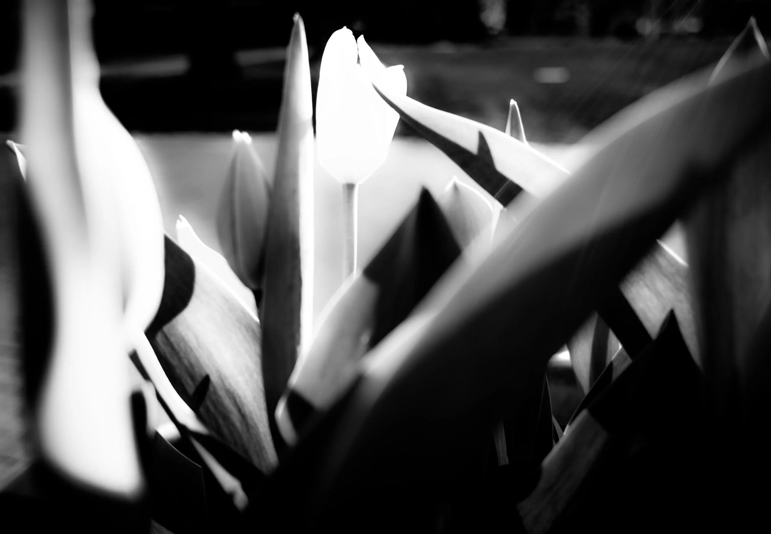 NY 2017-2018_页面_23.jpg