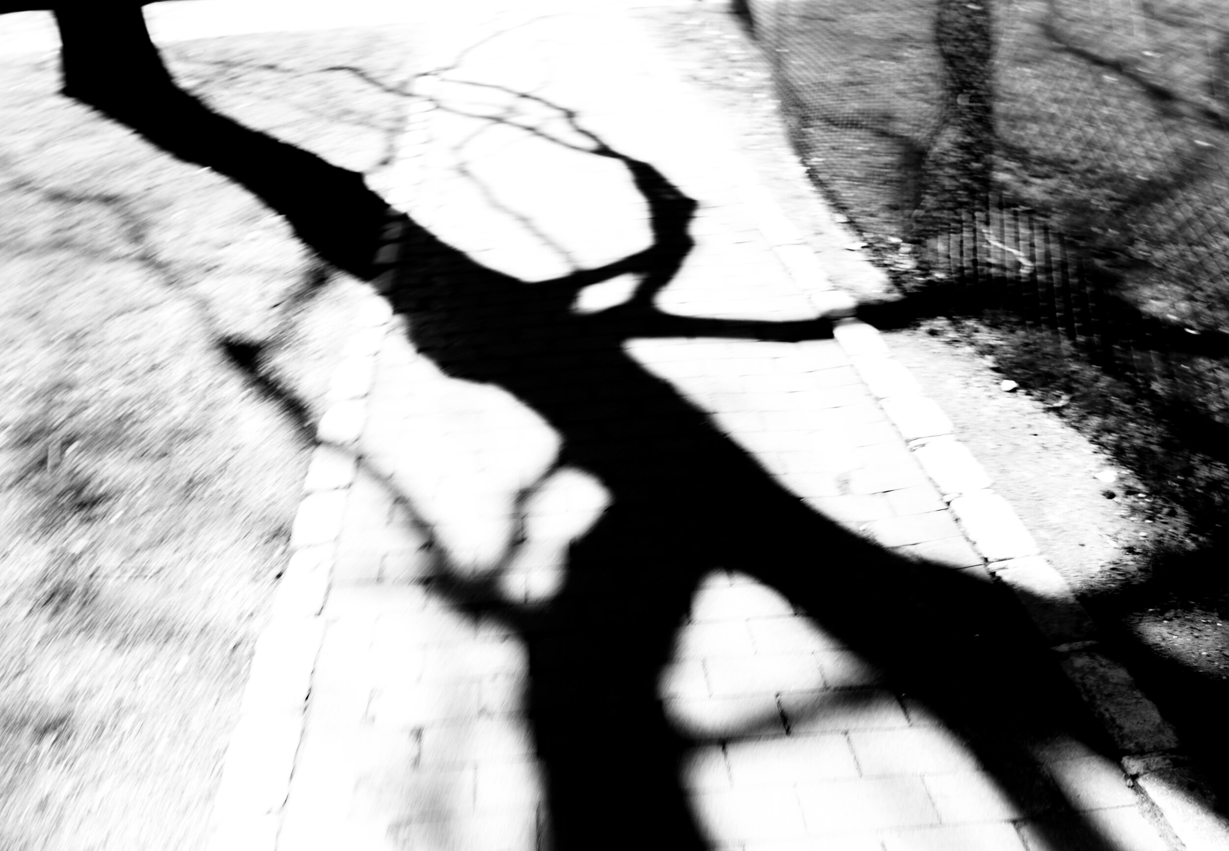 NY 2017-2018_页面_24.jpg