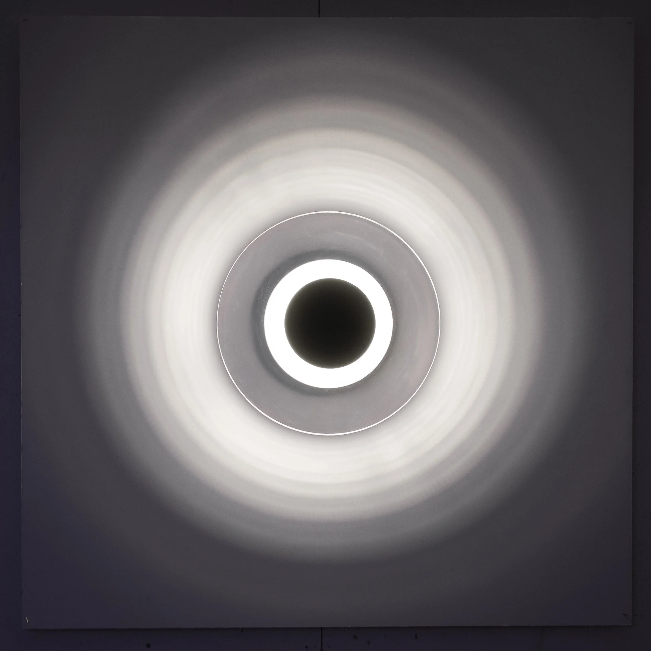 Apollonian's Nightmare