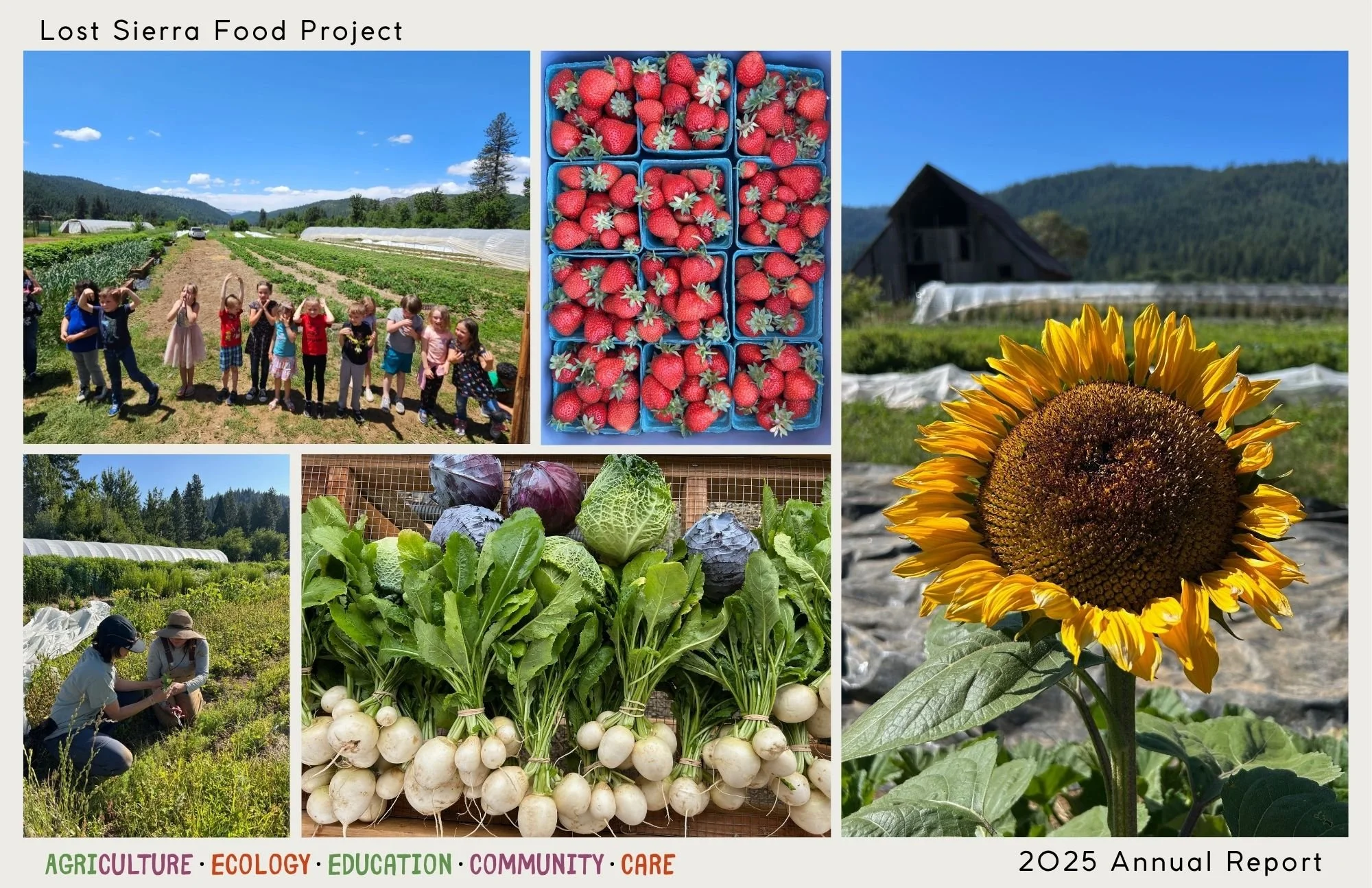 2025 Annual Report