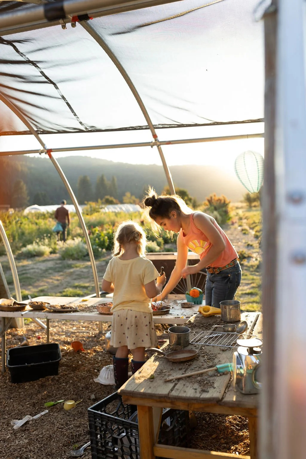 Victoria Ann Photography