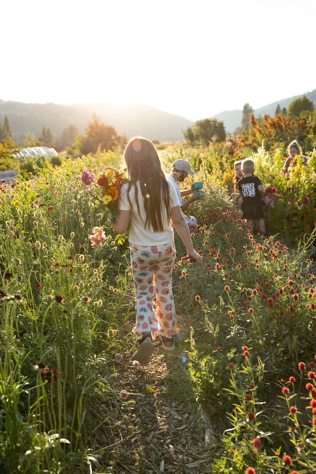 Victoria Ann Photography