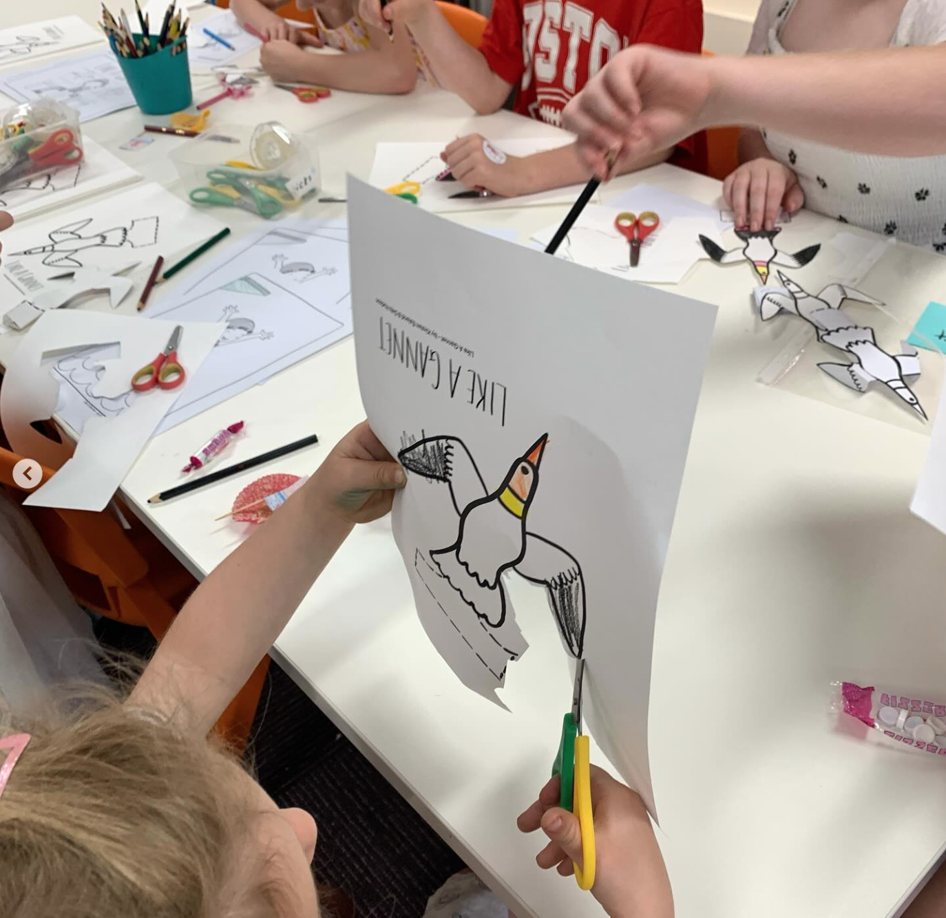 Like a Gannet Storytime and Craft