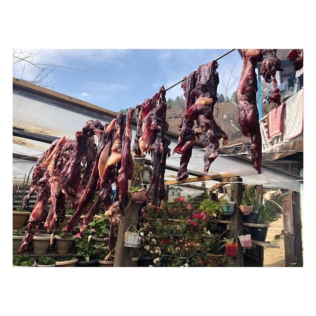 Outside every home you&rsquo;ll find rows of meat drying in the sunshine. This is in preparation for the month long feast that&rsquo;s about to ensue. This is also one of the easiest ways to preserve meat in the region. You&rsquo;ll get a chance to s