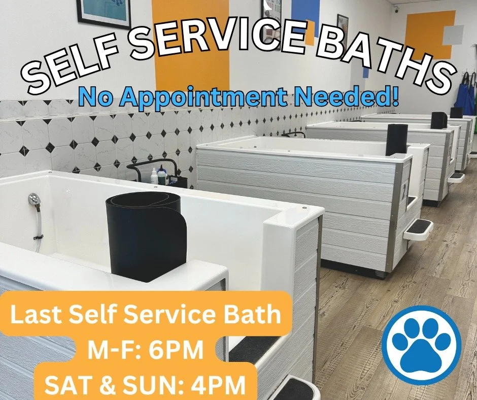 🍂As the crisp fall weather sets in, keep your furry friends warm and clean with our self-service dog wash stations at Doggy Daydreamz! 

For just $18, you get everything you need to pamper your pup: tubs, towels, shampoo, a cozy drying room, ear cle