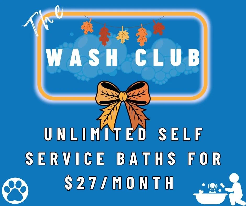 🍂Fall is here, and so is The Wash Club at Doggy Daydreamz! 🍁 

Keep your furry friend clean and cozy this season with our unlimited Self Service Baths for just $27 a month. No more muddy paws tracking through the house or chilly outdoor baths. 

Ou