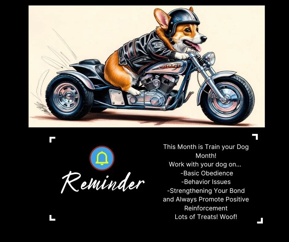 Train your dog month! A little reminder to strengthen your bond with your dog.  #doggydaydreamz  #TrainYourDogMonth #DogTraining #DogTrainingTips #DogTrainingJourney #PositiveReinforcement #dddogwash