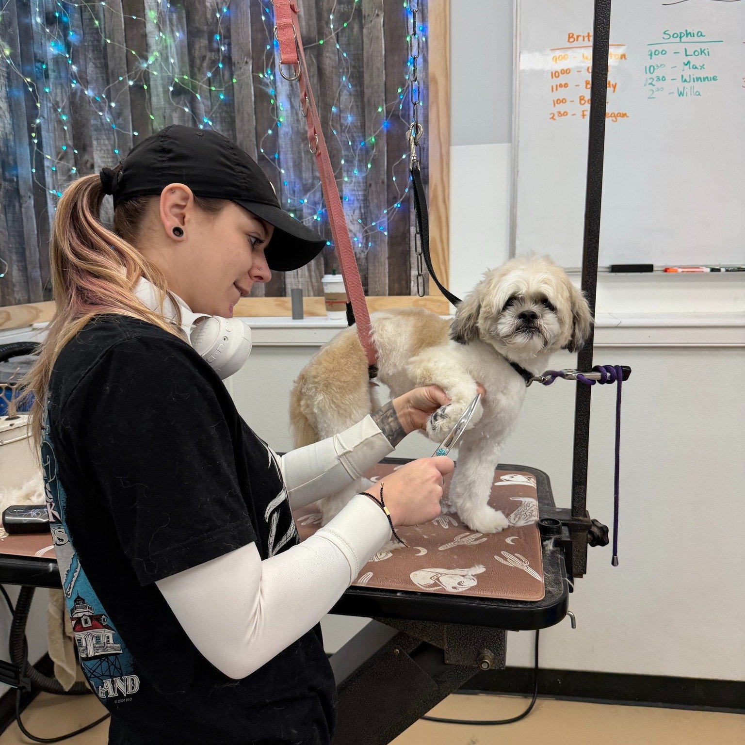 A little trim, a lot of happy. It's not just about the cut- it's also about the experience. Book an appointment with our top groomers, call 610-705-4982 or check out our online booking at https://www.dd-dogwash.com/book

#dddogwash #doggydaydreamz #d