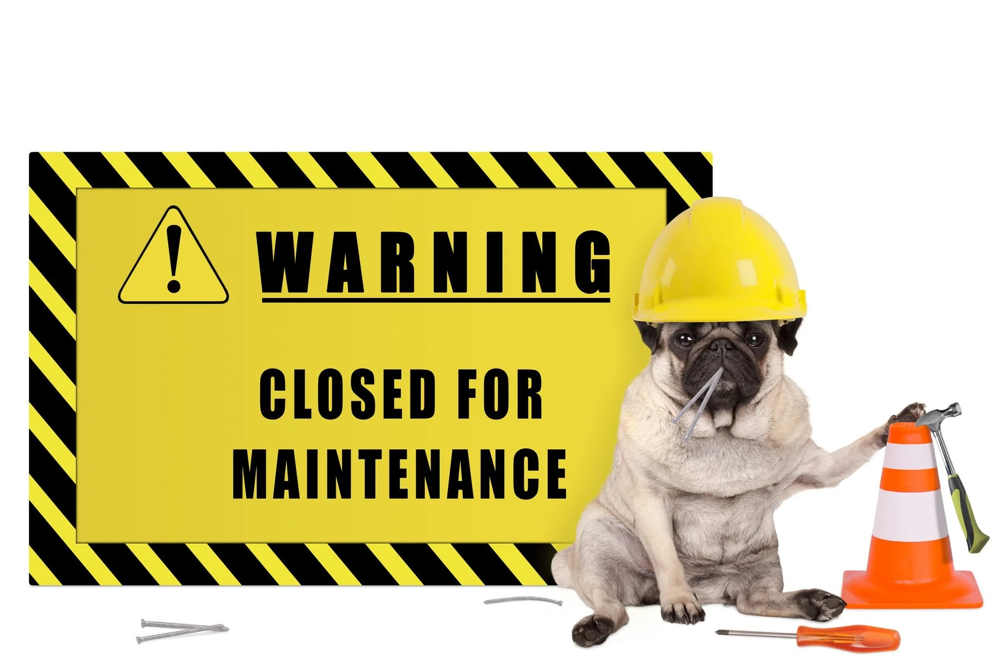 Doggy Daydreamz friends &mdash; we&rsquo;ll be closed Sunday, February 8, 2026 due to unexpected HVAC issues.
We&rsquo;re really sorry for the inconvenience. Your pups&rsquo; comfort and safety come first, and we need to get the temperature in the sa