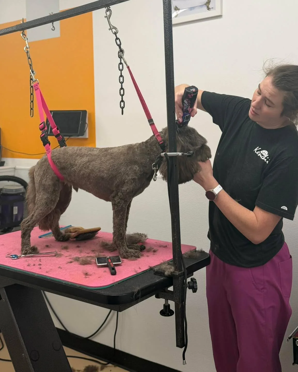 Fresh cuts &amp; happy pups ✂️🐶
Nothing better than those post-groom smiles! These two were absolute sweethearts on the table today and left looking (and feeling) brand new. Soft, fluffy, and ready to strut 💁&zwj;♀️✨

Who else loves that just-groom