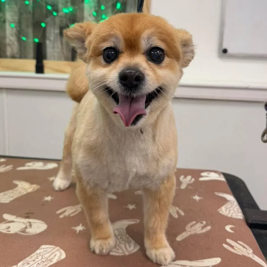 ⚠️ Weather Update ⚠️

For the safety of our staff and clients, we will be closing early today at 2:00 PM due to the incoming storm.

If you have an appointment scheduled later this afternoon, we will be reaching out to get you rescheduled as soon as 