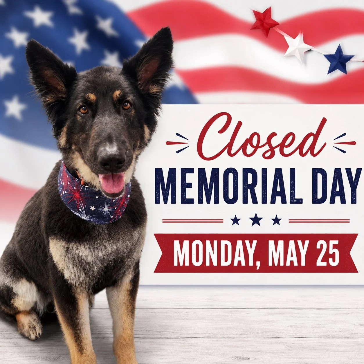A little paw-nouncement from one of our freshly groomed friends 🐾

Just a heads up that we&rsquo;ll be closed on Monday, May 25 for Memorial Day 🇺🇸

We&rsquo;ll be back to normal hours on Tuesday.

Hope everyone has a safe and happy long weekend &