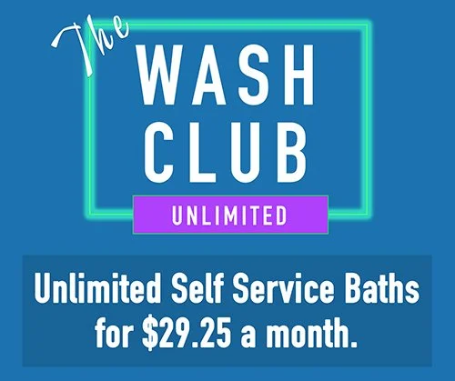 siteWashClub10_23.jpg