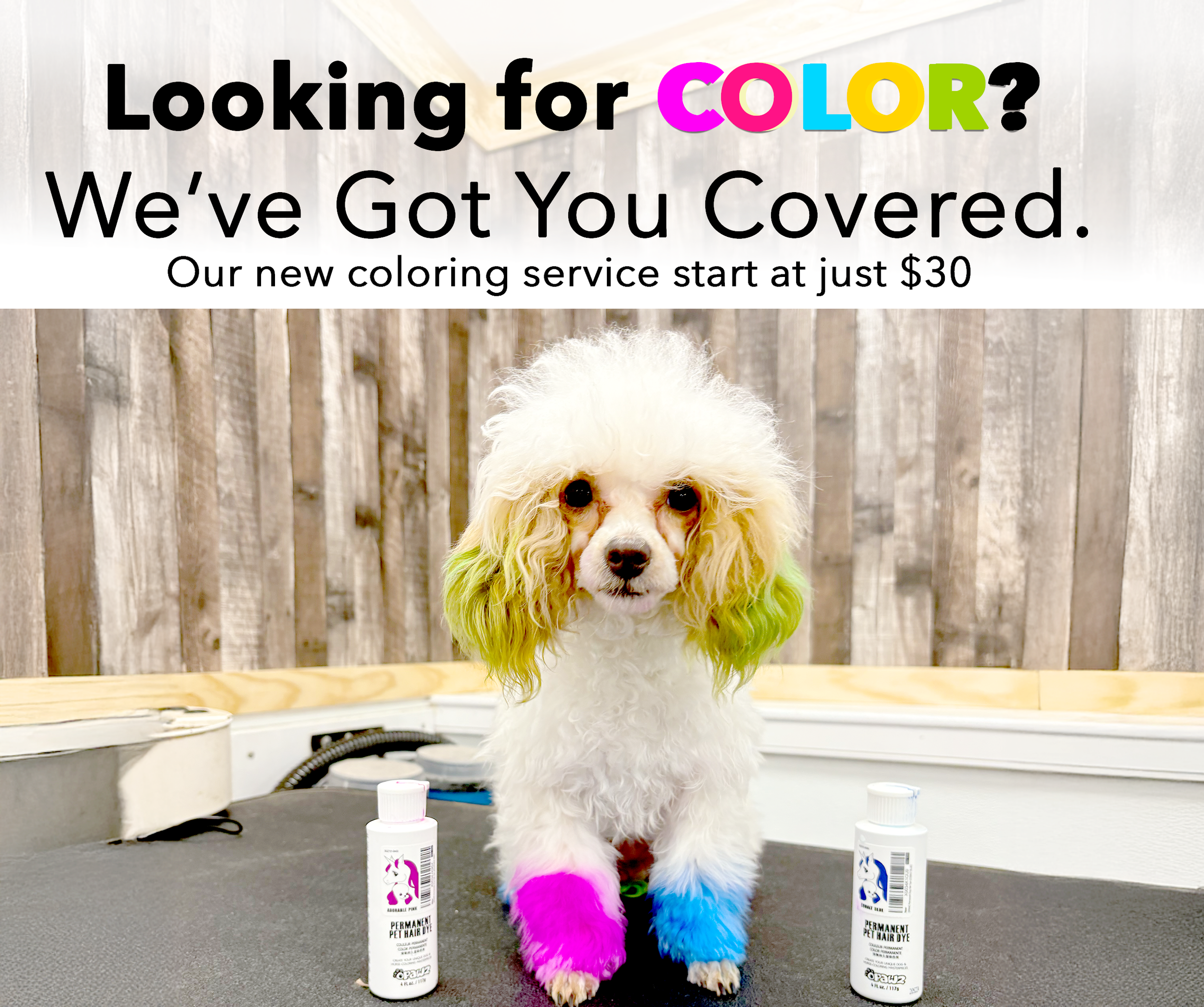 color.png