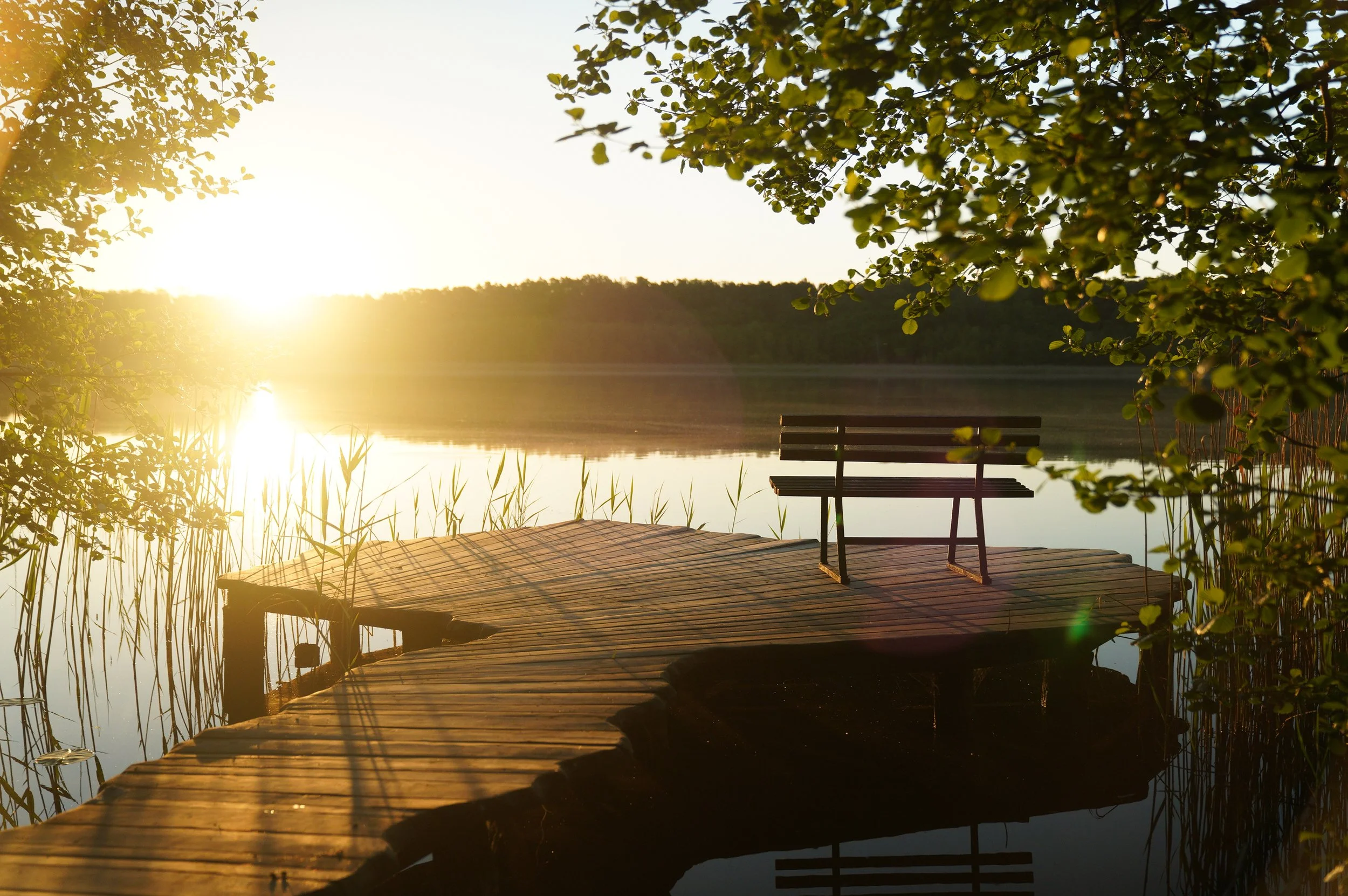 006FotosErlengrund .jpg