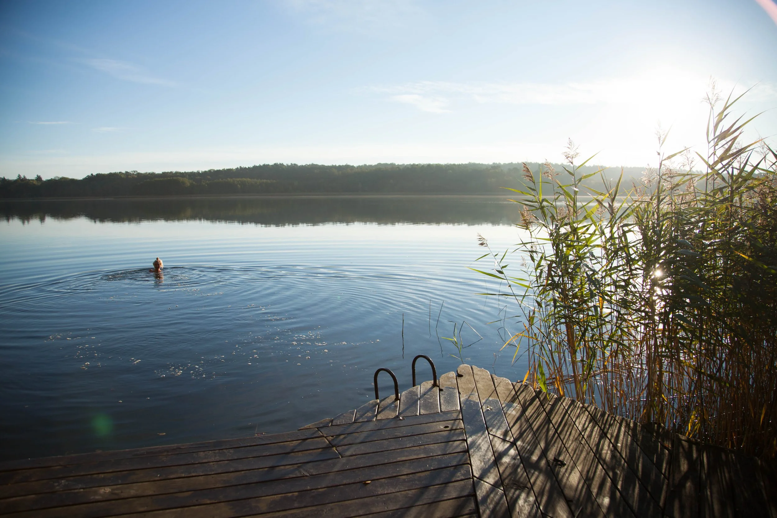 026FotosErlengrund .jpg