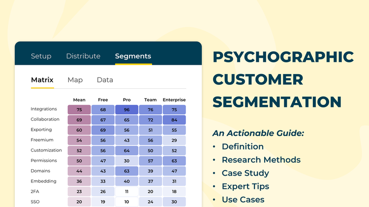 What is Psychographic Segmentation [Guide &amp; Examples] // OpinionX 