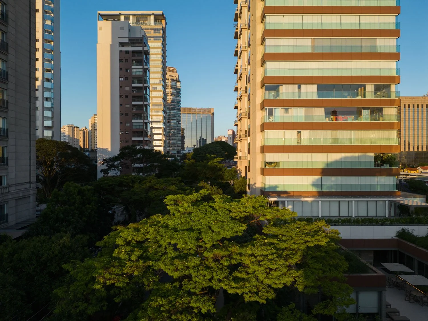 DJI_0957.jpg