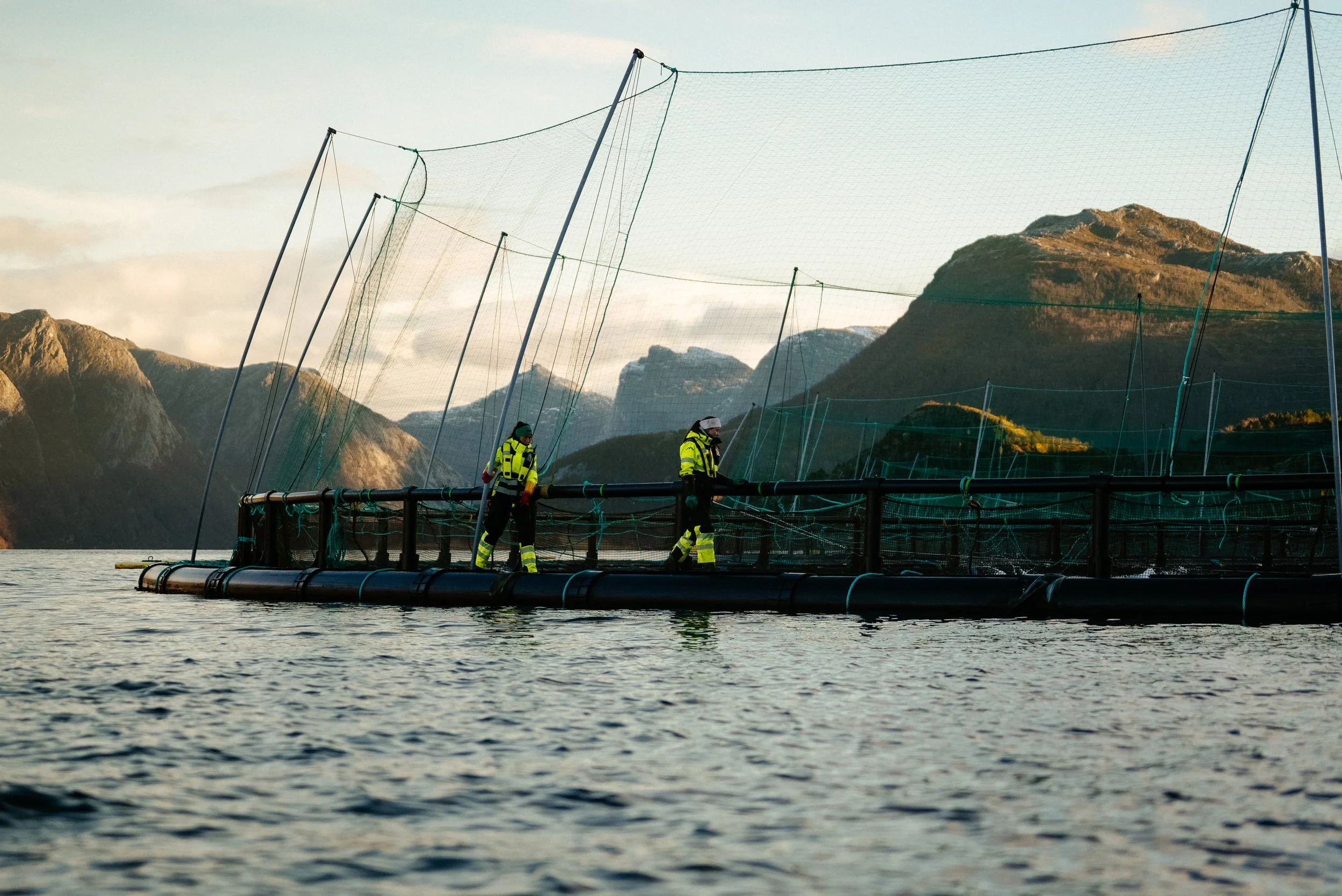 Gifas Festvåg (Salten Aqua 25)-5.jpg
