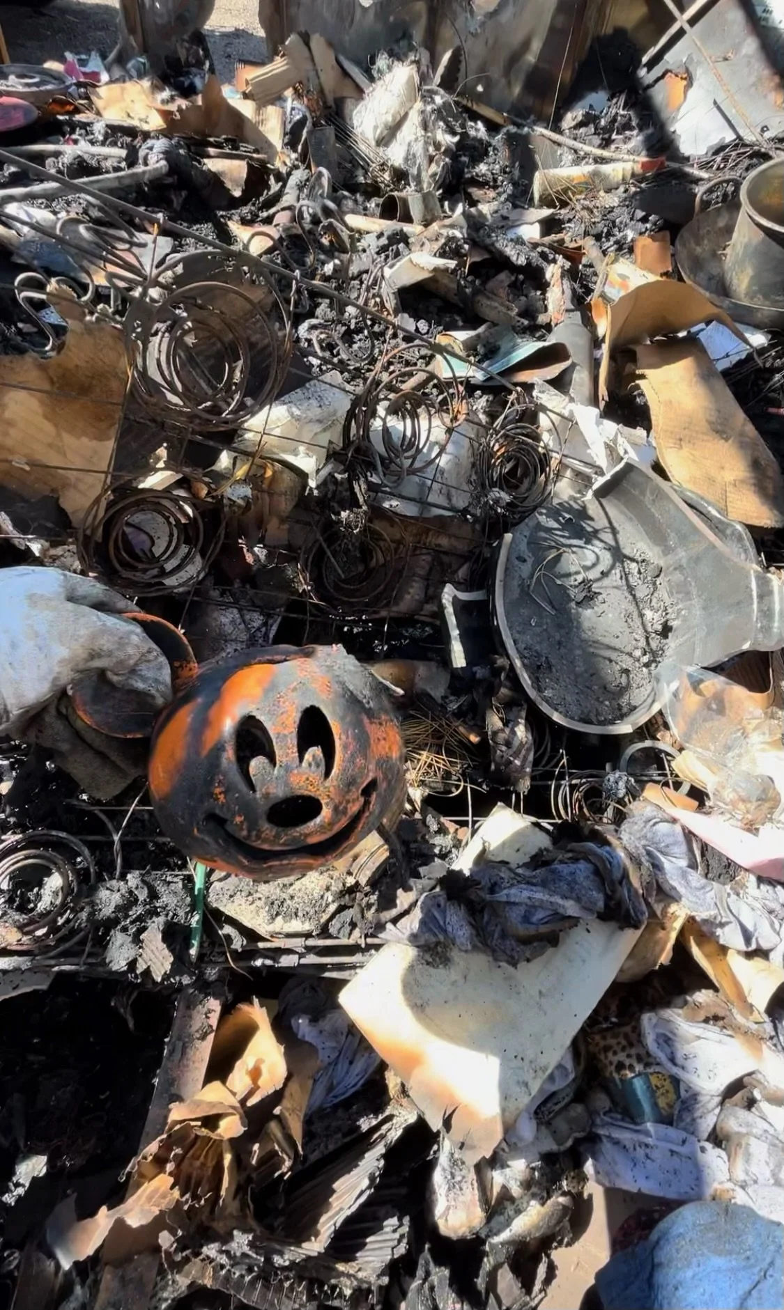 Destroyed Mementos, Found Again on eBay