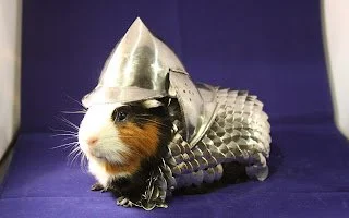Whatever Happened to Lucky's Guinea Pig Armor?