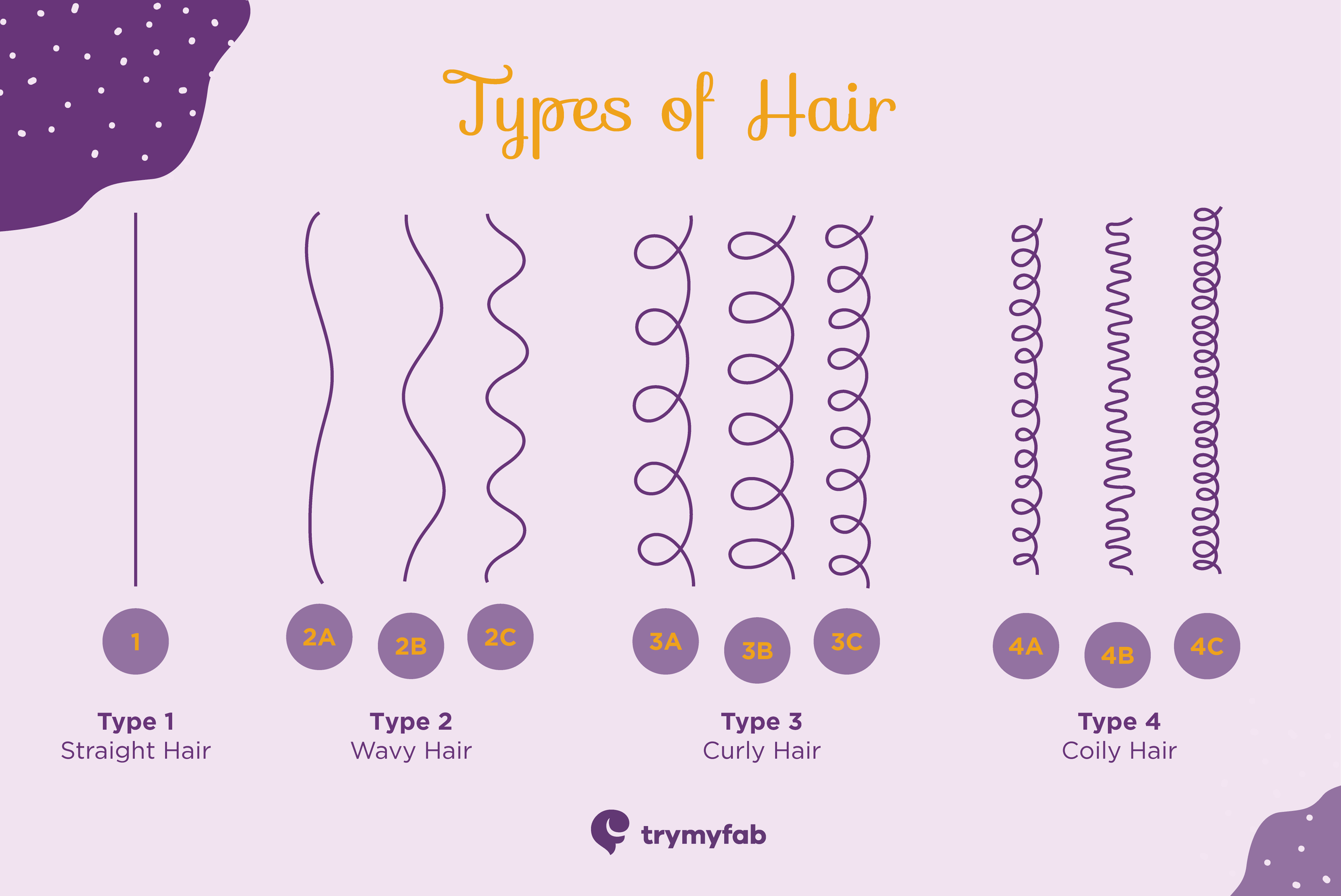 Basic Hair Types How to Create the Perfect Regimen for Your Curls: Step-by-Step Guide ...