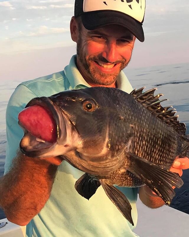 PHC WALK ON TRIPS ARE BACK! Jumbo Seabass Sunday walk on!
(4) spots left, for 280 each, 6a-4p includes tip. June 7, 2020. 
Never miss another walk on trip, text 757-522-2239 and get signed up for free text alerts for this and upcoming PHC walk on tri