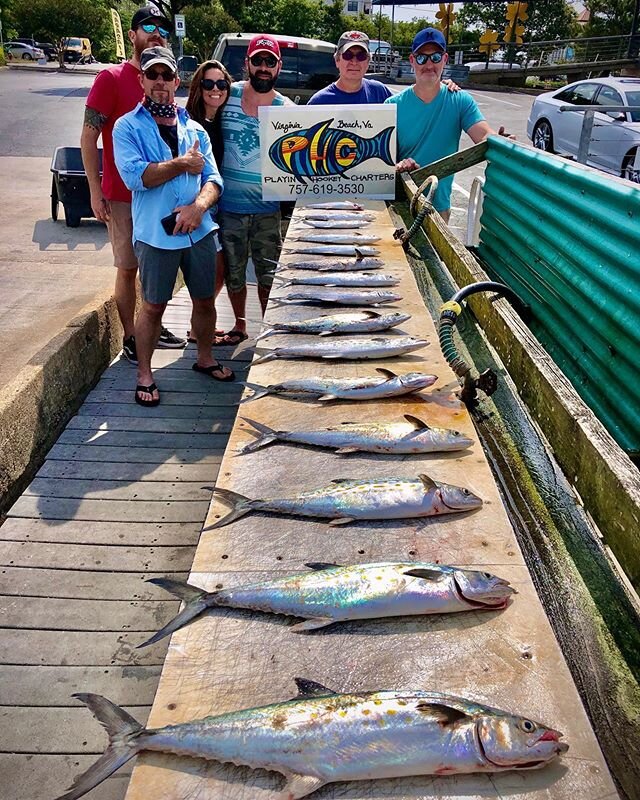 Spanish Mackerel anyone?  Beuller?? #phcvb #oakleyfishing