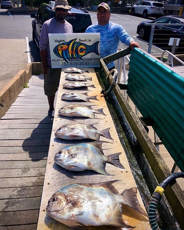 Sunday Spade Fish Day. 👍🏽 🎯The guys caught 44 hard fighting spades, and Eric and I accidentally matched.
Playin Hookey Charters, Rudee Inlet, Virginia Beach, Va.
playinhookeycharters.com 
#phcvb #ndtackle #oakleyfishing