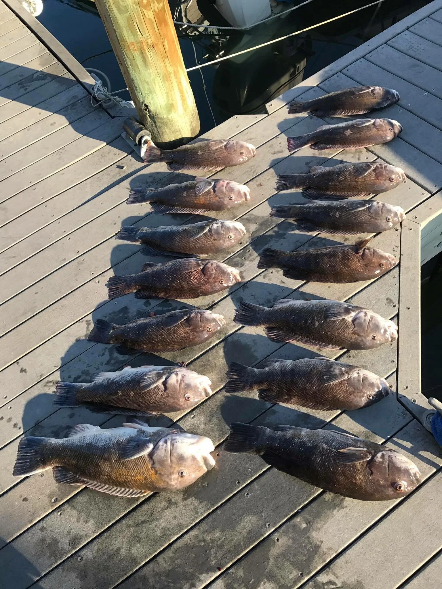 C596BAD5-4BF1-4567-A8C7-903371383EA3