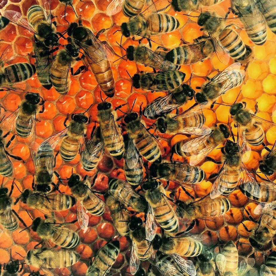 Bee-leaver DIY Honey Bee Repellent — THE ADVENTURES OF JACK