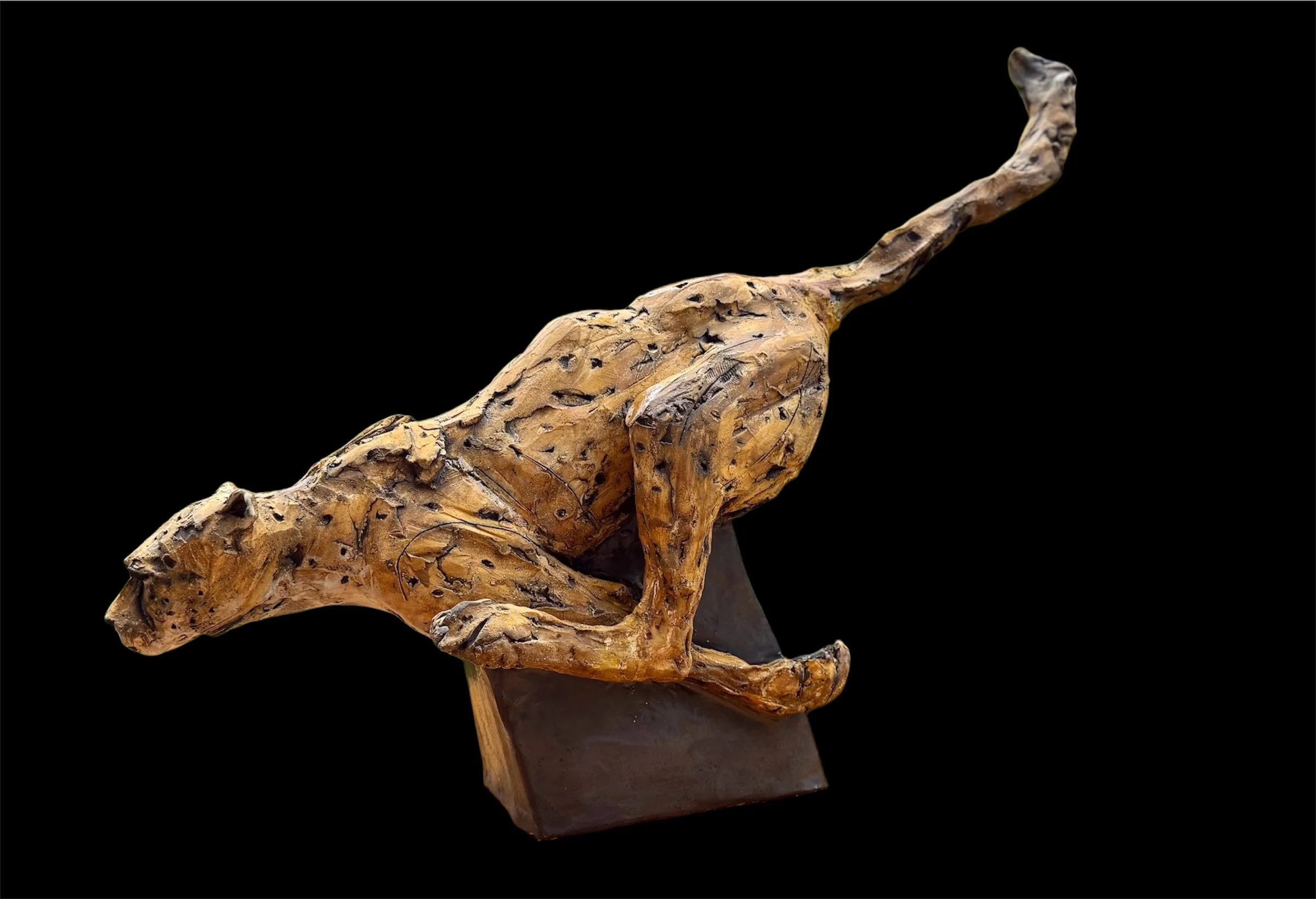 Cheetah