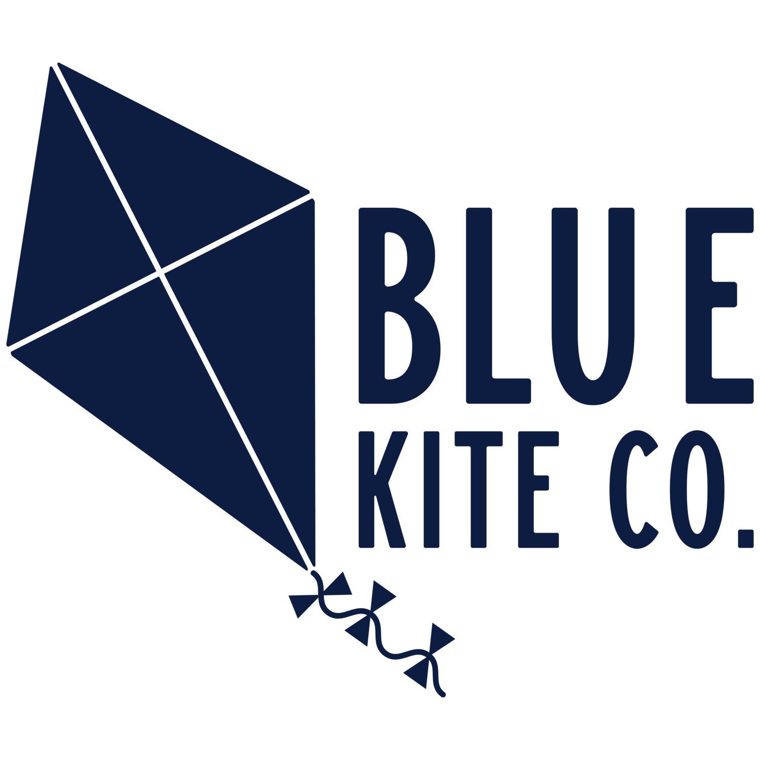 Blue Kite Company – Creative Services Studio