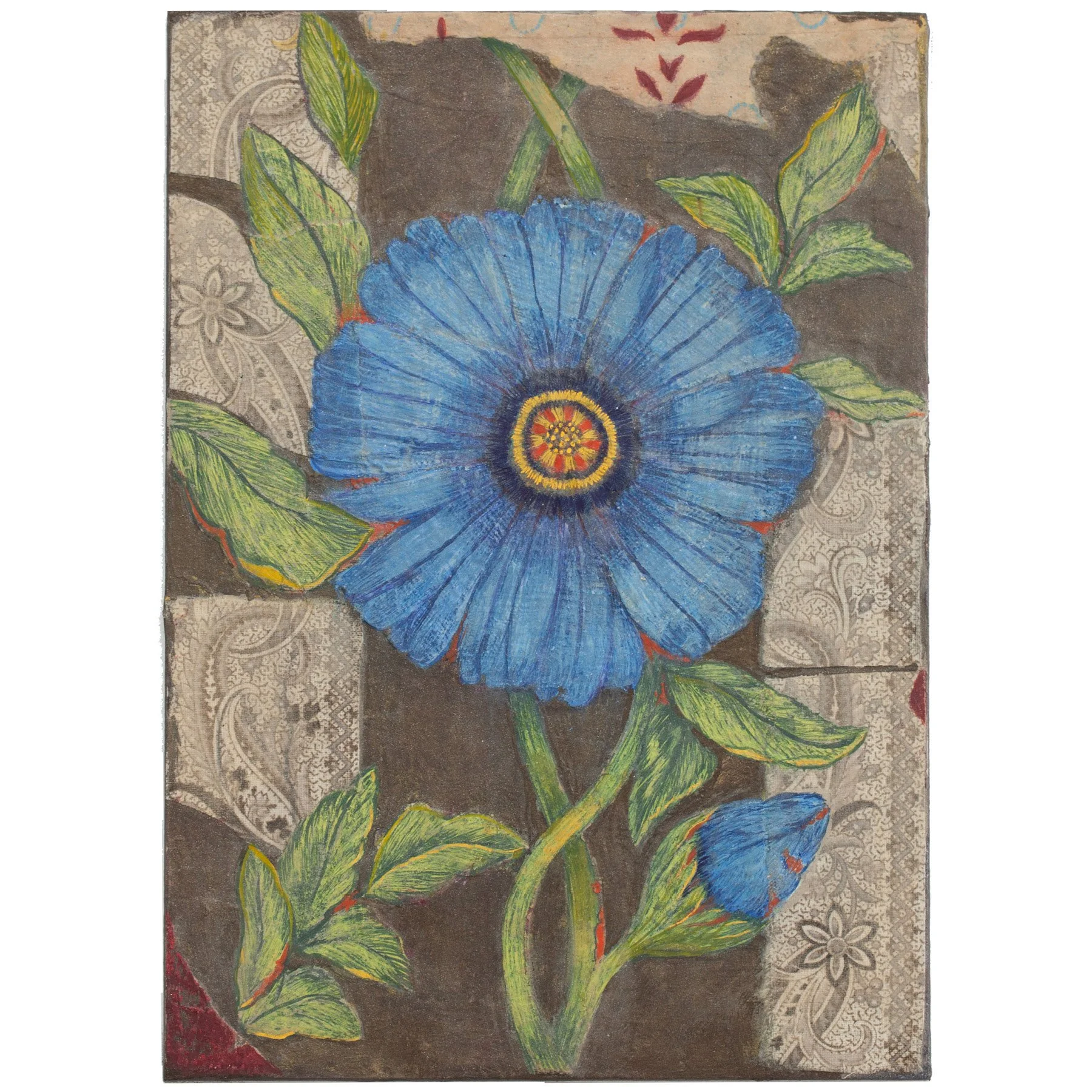 CHICORY