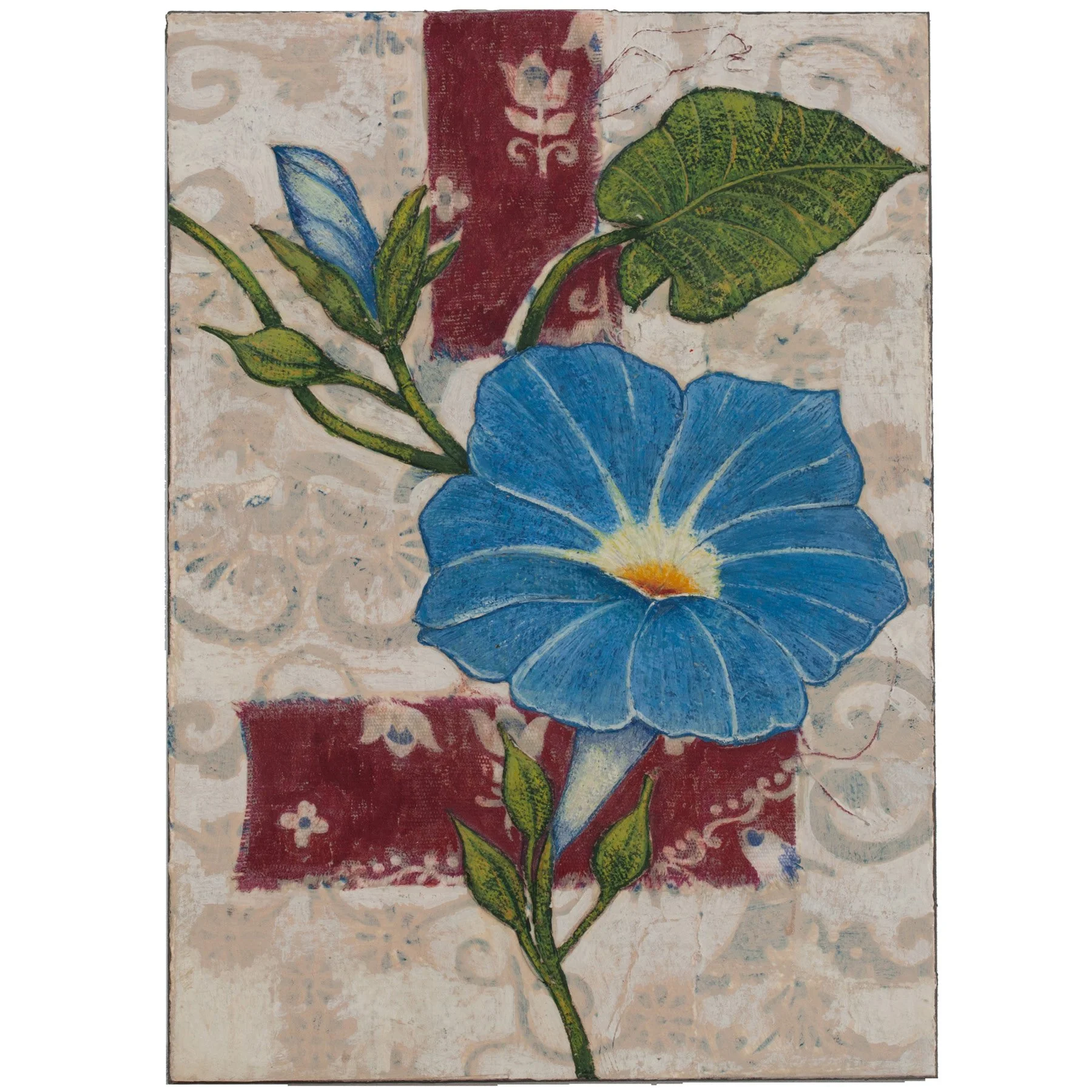 BLUE MORNING GLORY