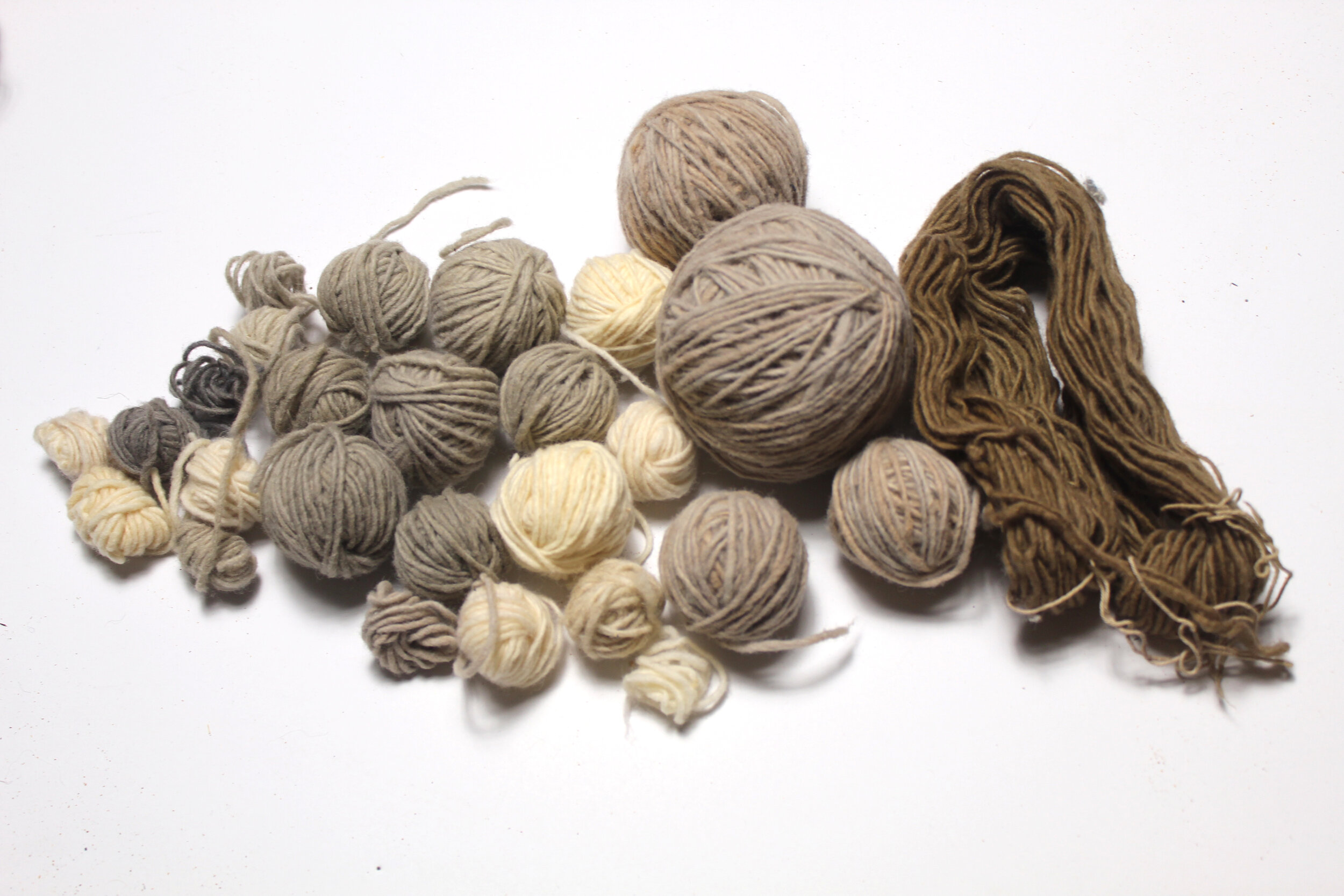 Logwood, Tannin, Iron