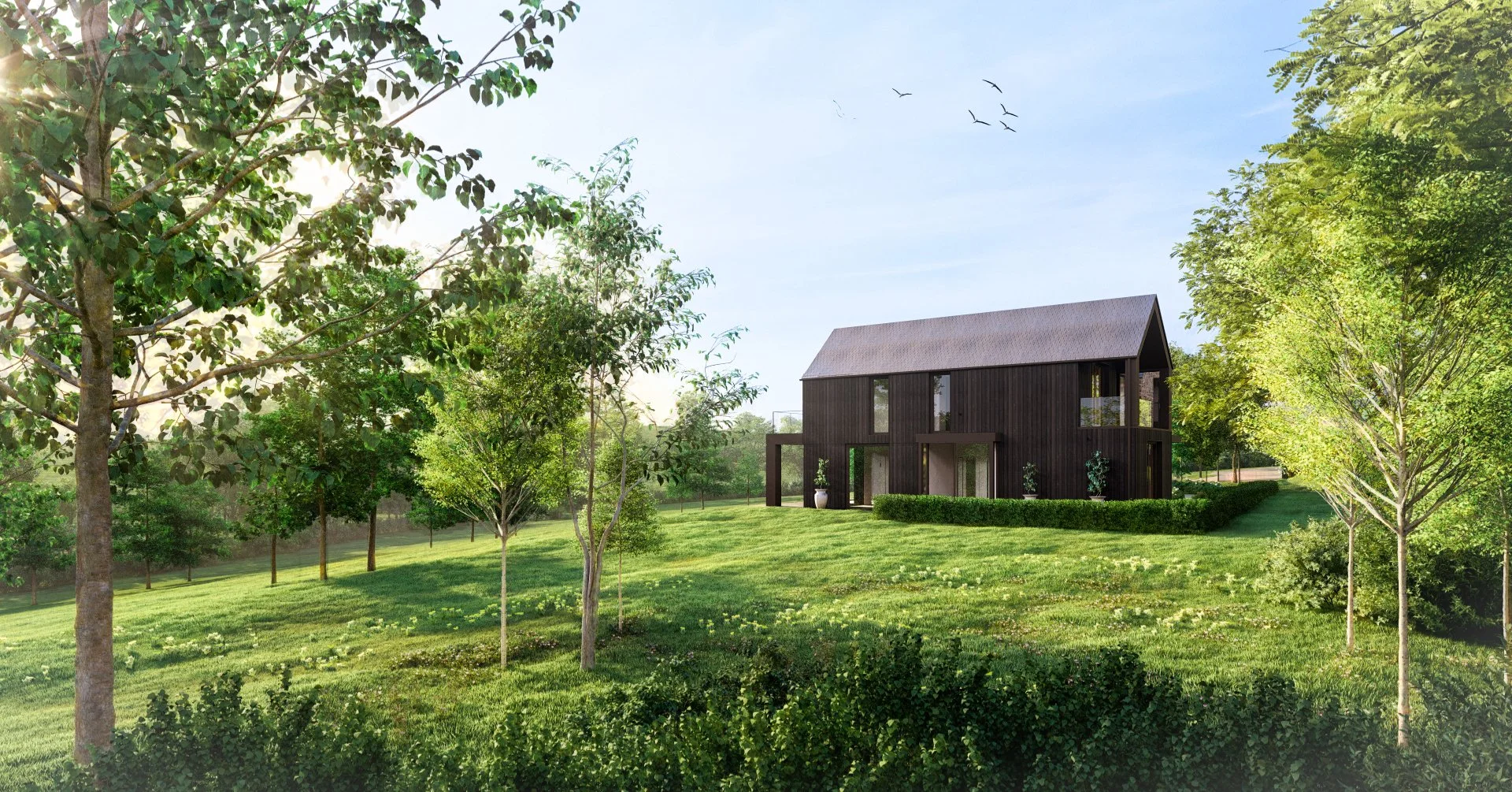 Dandelion Seeds Architects — Class Q - Fallback Somerset