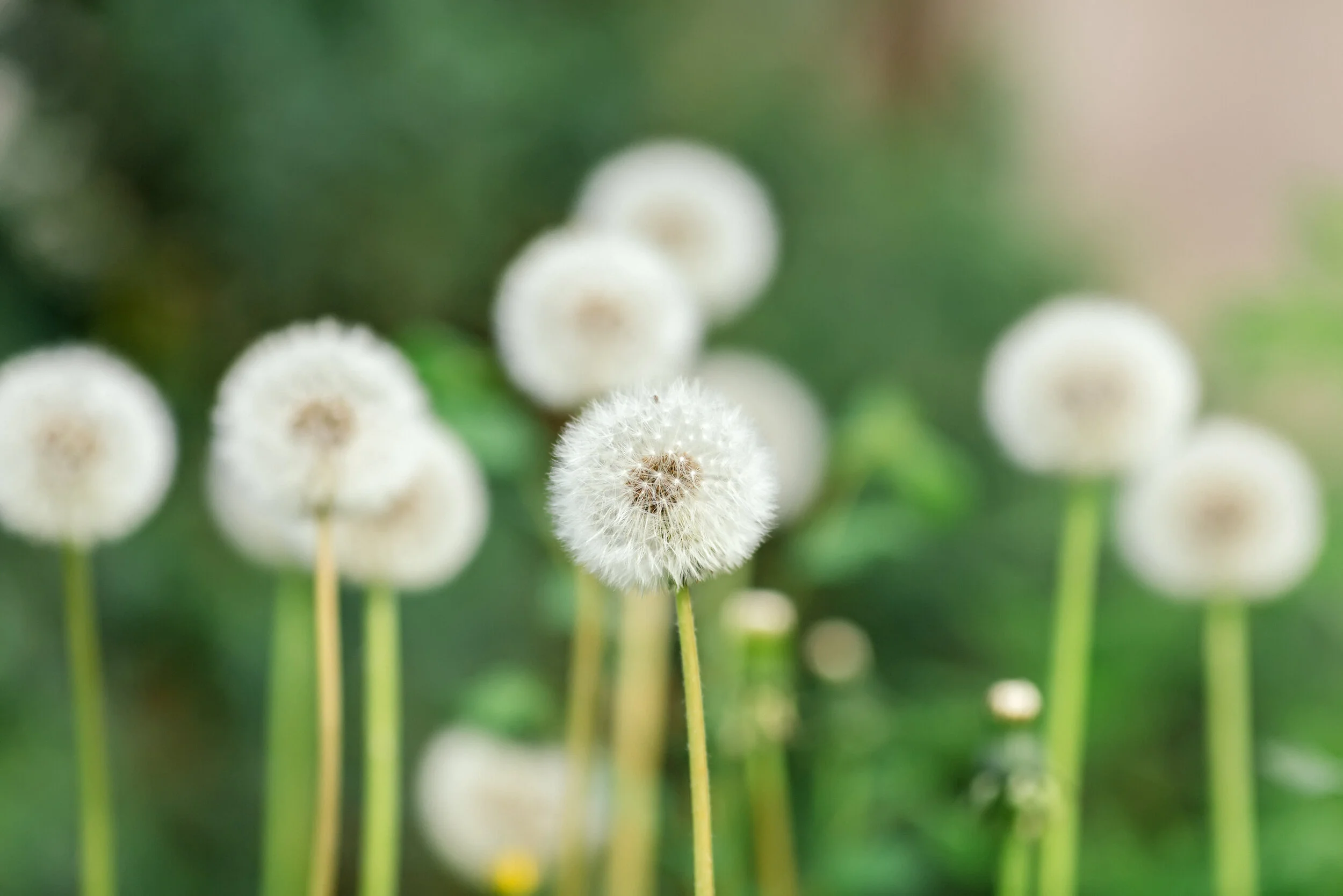 shutterstock_192076517.jpg