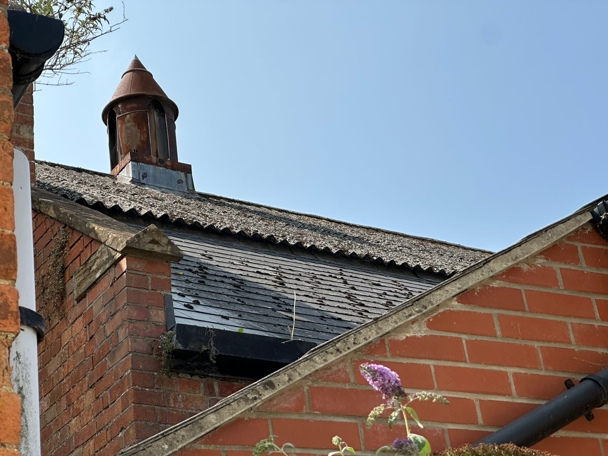 PHOTO-2025-08-15-15-01-30 (1).jpg