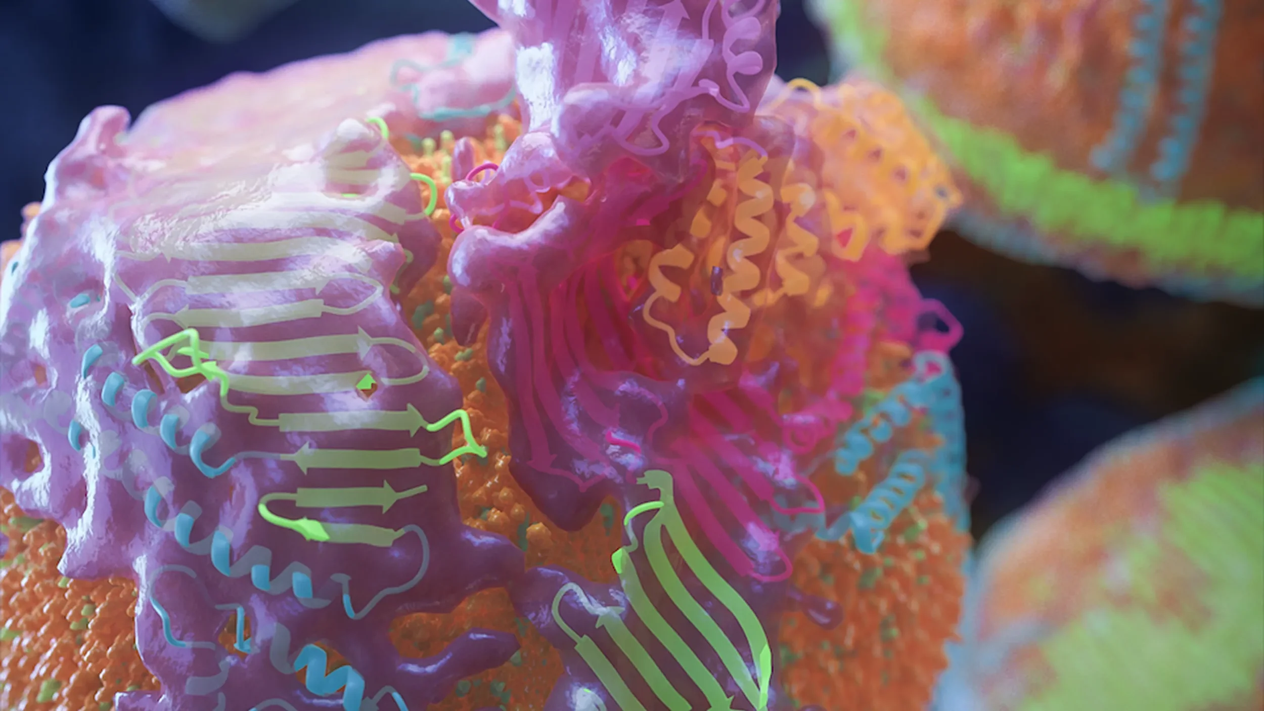 Revealing a key protein behind heart disease