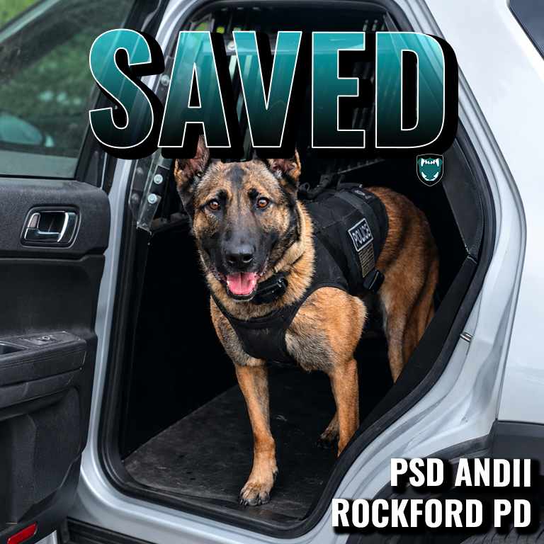 A Belgian Malinois police dog with police dog body armor standing in a white vehicle with the word "SAVED" written in large blue and black letters across the top. Text at the bottom right identifies the dog as a Police Service Dog Andii from Rockford