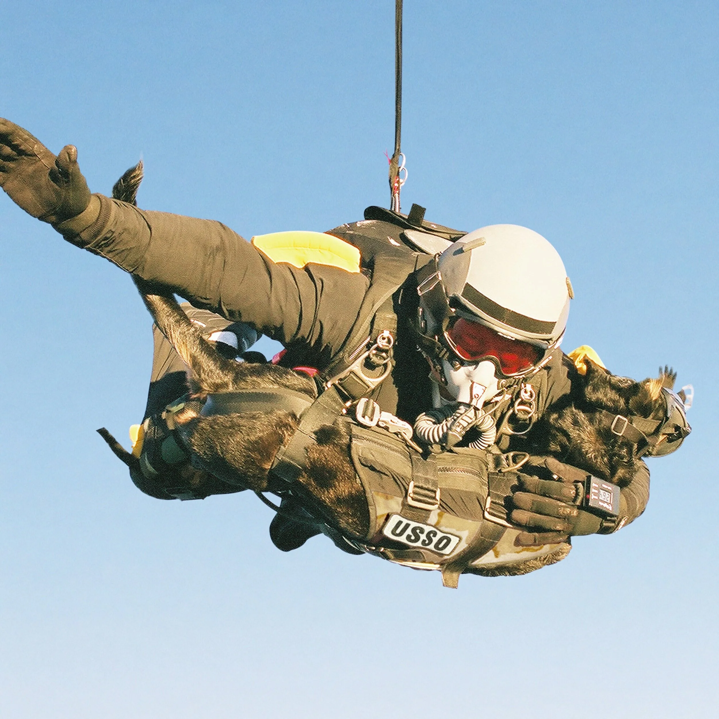 tactical insertion dog rappelling harness