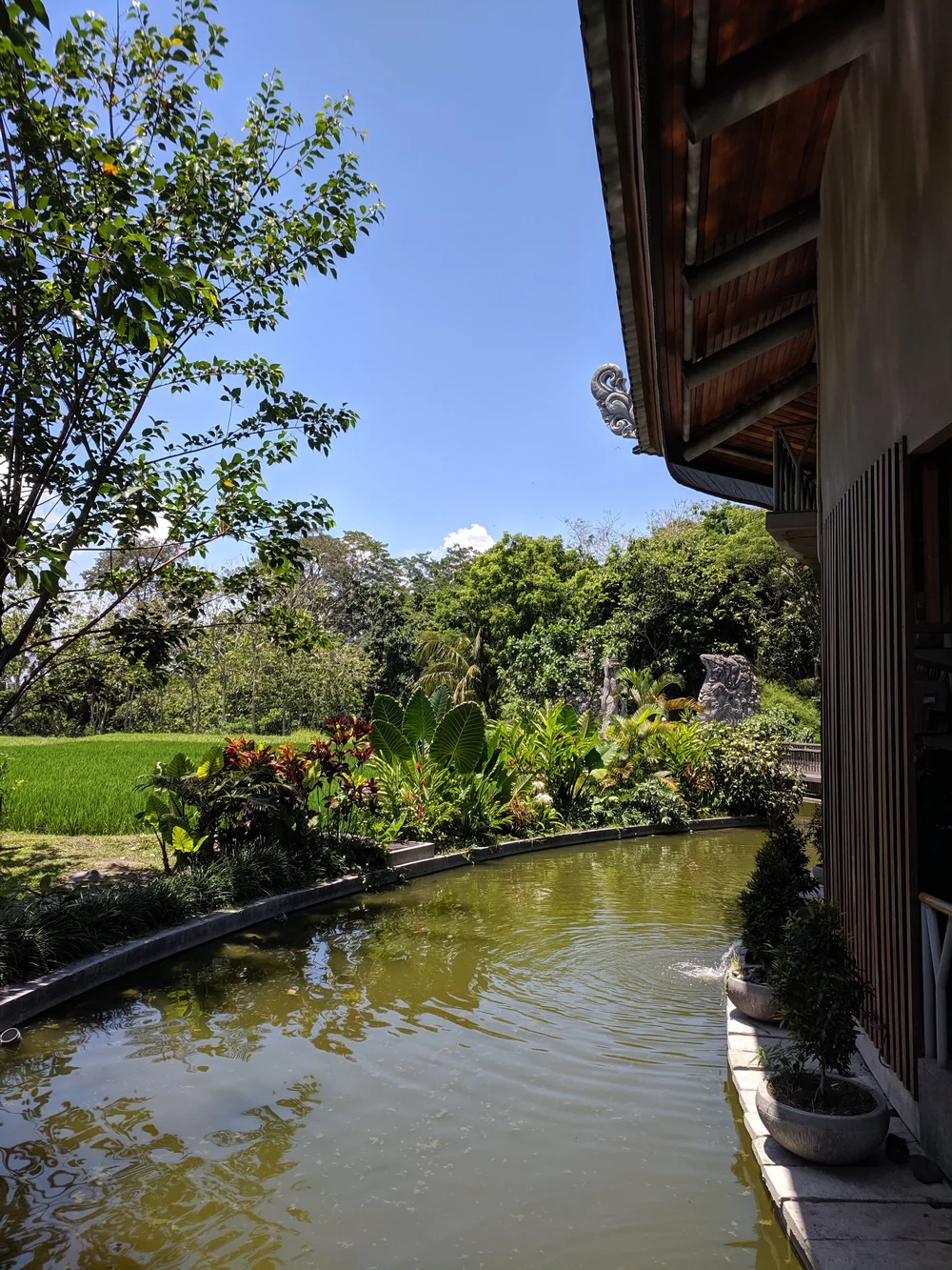IMG_20191114_121431.jpg
