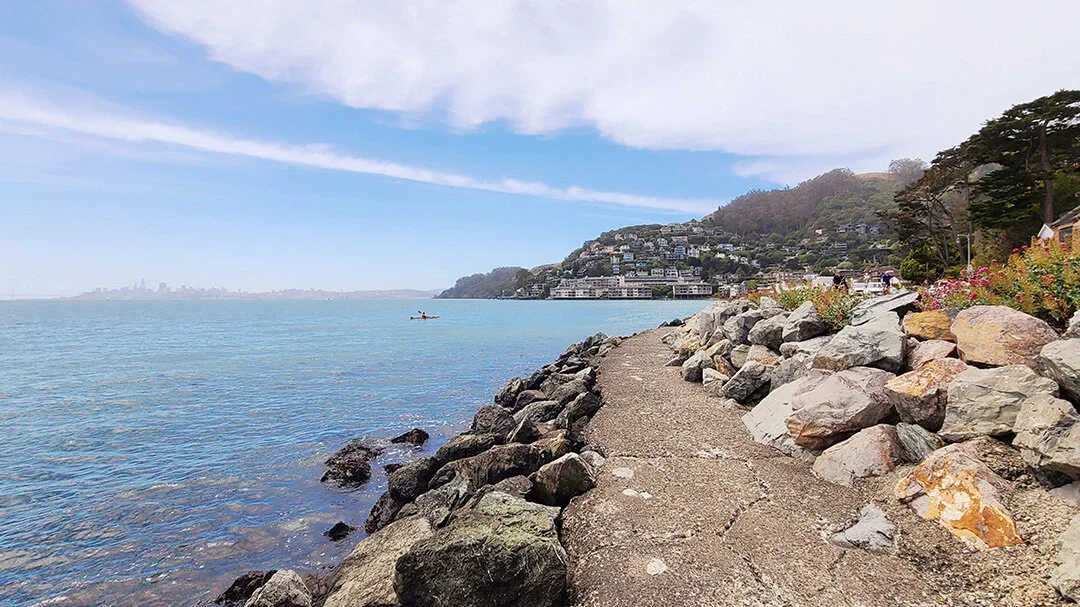 June5th2021_Sausalito_017_LR.jpg
