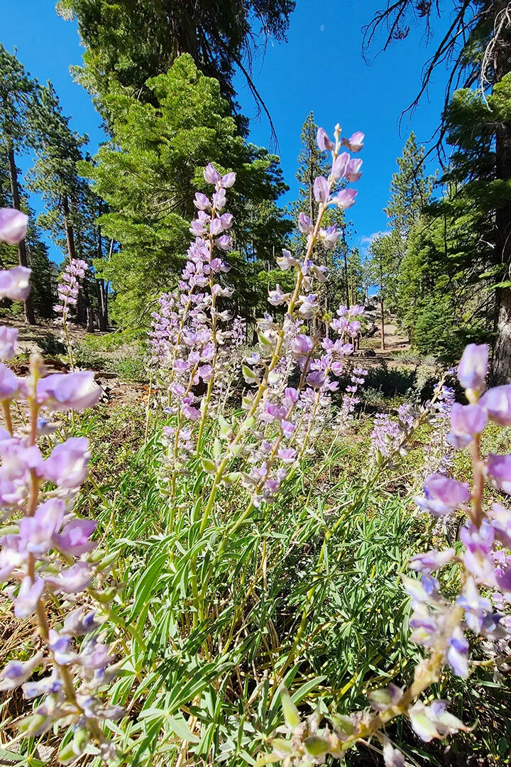 June8th2021_VanBickleBiStatePark005_LR.jpg