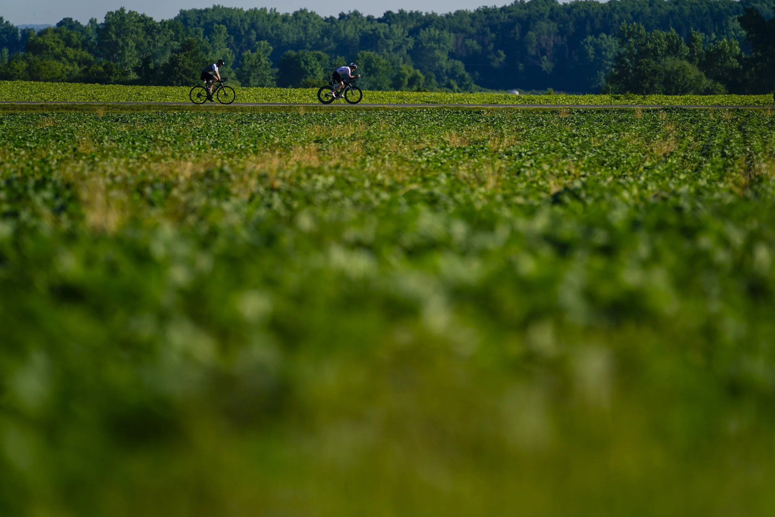  Age group athletes race the bike course of IRONMAN 70.3 Musselman on July 12, 2026 in Geneva, New York. (Photo by Benjamin B. Braun/Getty Images for IRONMAN) 